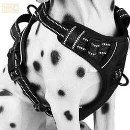 Pet Factory wholesale Amazon Ebay Wish hot large mesh dog harness 109-0001 www.petclothesfactory.com