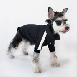 Sport Pet Clothes Custom Fashion Dog BomberJacket Blank Dog Clothes www.petclothesfactory.com