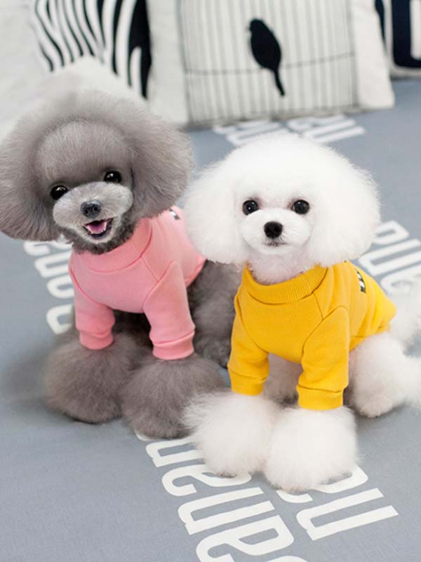 Wholeslae Designer Dog T Shirt Custom Puppy Clothes Cotton 06-0217 Wholeslae Designer Dog T Shirt Custom Puppy Clothes Cotton 06-0217