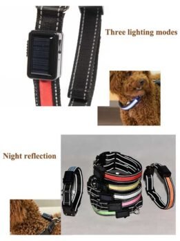 Led Dog Collar: Wholesale USB Solar Charging Pet Dog Collars 06-1196