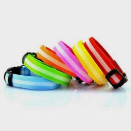 Pet Dog Collar: Led Safety Light-up Flashing Glow	 06-1206 www.petclothesfactory.com