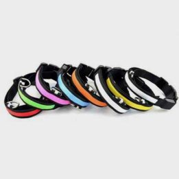 Pet Dogs Leash: Collars Nylon LED Pet Dog Collar 06-1207