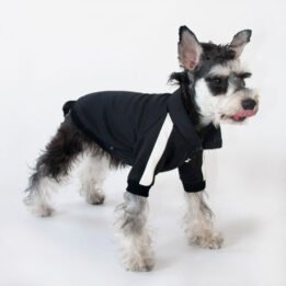 Sport Pet Clothes Custom Fashion Dog BomberJacket Blank Dog Clothes