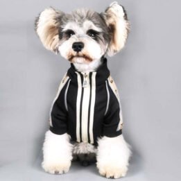 2020 Dog Coat Spring Autumn Pet Clothing Small Designer Dog Clothes