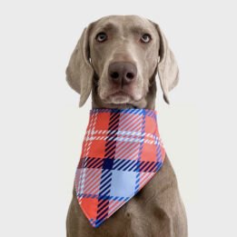 Multifunctional British Style Triangle Pet Safety Custom Printed Logo Pet Triangle Bandana