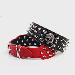 5cm Custom New Luxury Skeleton Spiked Large Dog Collar Top Dog Chain Collar