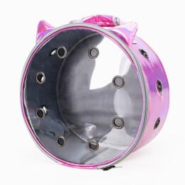 Pet Travel Bag for Cat Cage Carrier Breathable Transparent Window Box Capsule Dog Travel Backpack www.petclothesfactory.com