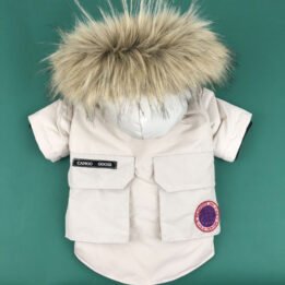 Wholesale High Quality Made Sport Windproof Jacket Polyester Softshell Zipper Closure Jacket For Dog Clothing Pet Clothes