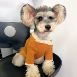 Dog Sweater Bowknot Plain Knit Sweater Cute Cat Winter Clothing Pet Clothes Pet Accessories