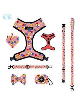 Pet dog leash harness set-109-0051