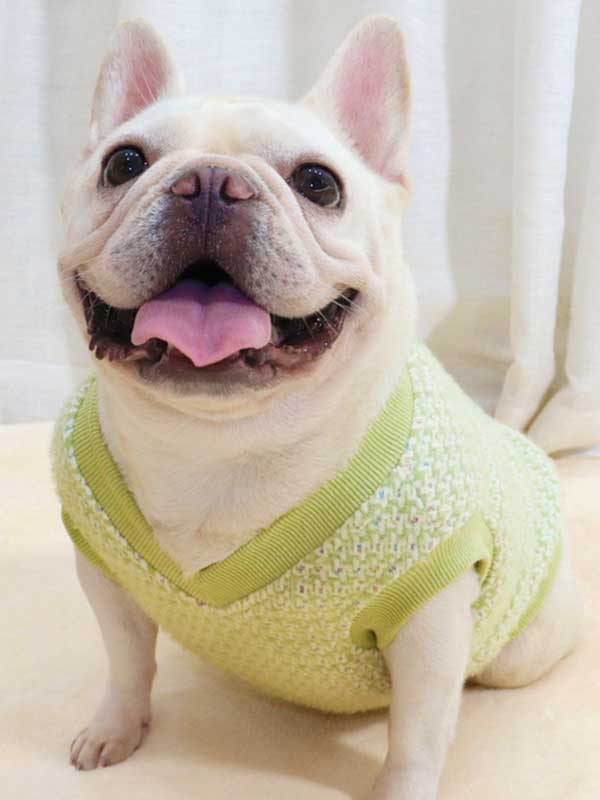 GMTPET Thickened autumn and winter fat dog short body bulldog pug dog lady plush rich rich French fighting clothes v-neck vest vest 107-222012