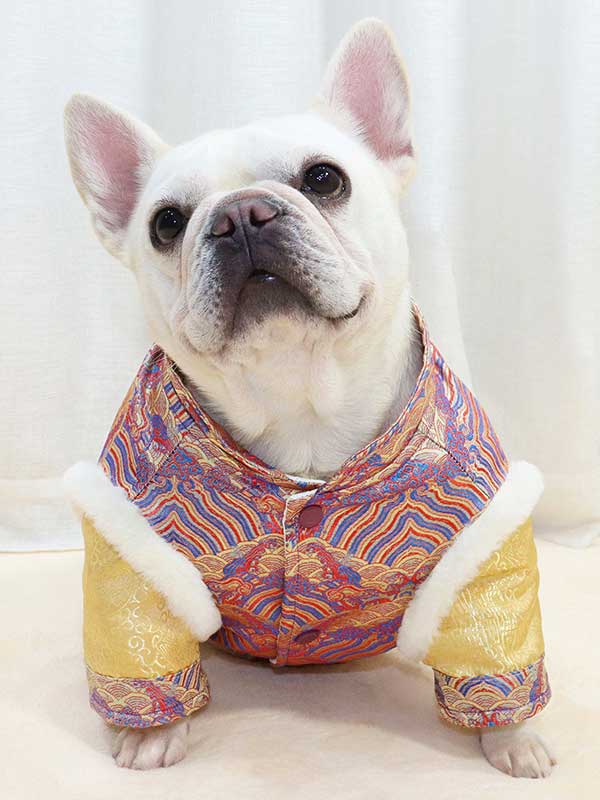 GMTPET French fighting Chinese New Year's clothing New Year's clothing Tang suit Chinese style fat dog bulldog dog clothes thickened rabbit fur jacket cotton coat 107-222013