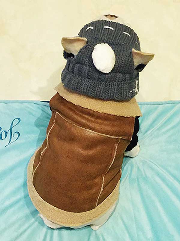 GMTPET French fighting clothes vest vest suede lamb velvet fat dog autumn and winter fashion warm pet dog vest jacket 107-222014