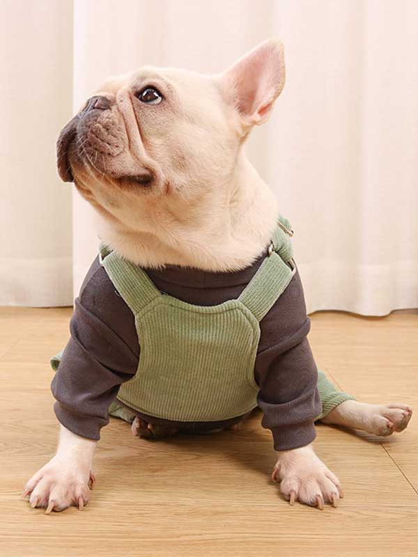 GMTPET French fighting clothes high elastic comfortable solid color plus velvet thick bottoming shirt T-shirt bulldog dog clothes 107-222016 www.petclothesfactory.com