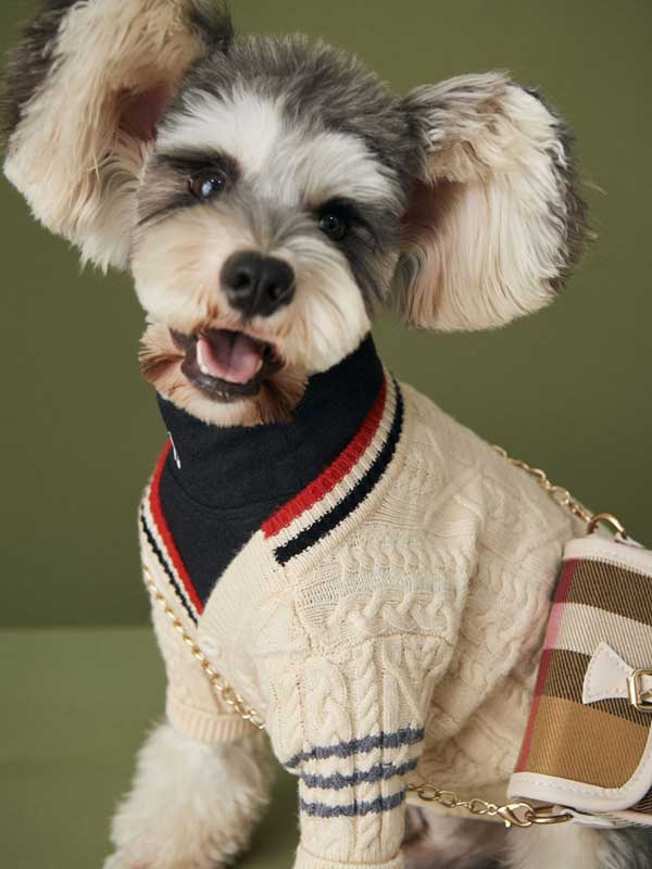 Designer Dog Clothes Wholesale Knitted Cardigan Pet Clothes Korea 06-1560 Dog Clothes: Shirts, Sweaters & Jackets Apparel 06-1560