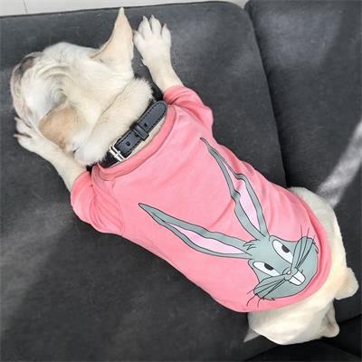 Pet Shirt Dog Clothes: Durable Pretty Cheap Design 06-0510 Dog Clothes: Shirts, Sweaters & Jackets Apparel cat and dog clothes