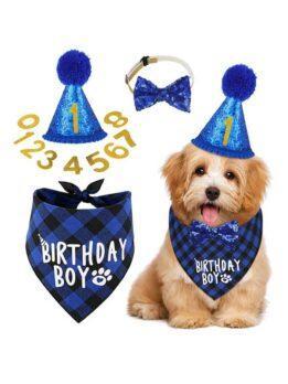 Pet party decoration set dog birthday scarf hat bow tie dog birthday decoration supplies 118-37011 www.petclothesfactory.com