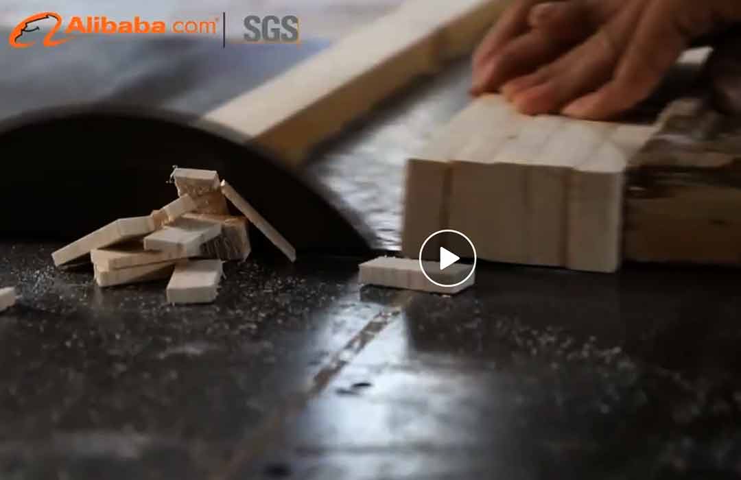 OEM Pet Products Factory | Pet Product | GMTPET