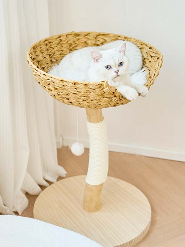 OEM natural trunk cat scratching post sisal wool cat tree 105-44010