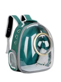 Transparent gold circle green pet cat backpack 103-45049