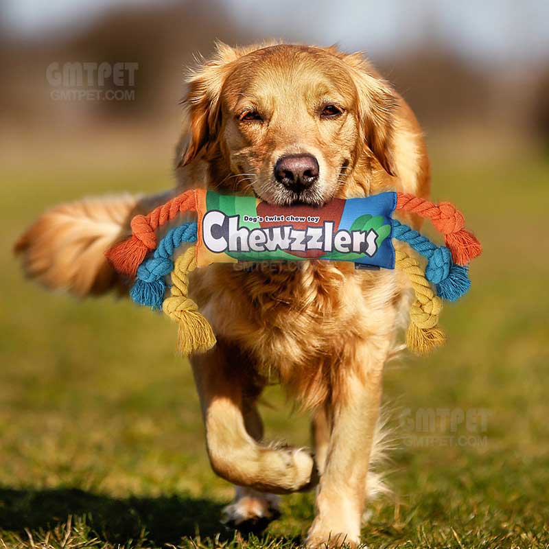 Pet toy and dog toys