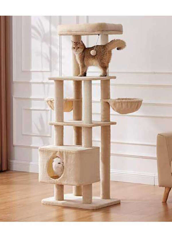 65″ Modern Indoor Cat Tree Tower High Climbing Wood Cat Tower for Large Adult Cats Beige-Basic Home Decoration Post Carton 105-62094 Pet Products Factory, OEM Manufacturer, Supplier, Agent www.petclothesfactory.com cat trees scratcher, bog cat tree, cat tower tree dropshipping, mushroom cat tree, purple cat tree, cat trees and scratching post, cat tree house, cat climbing tree house tower, minimalistic cat tree, cheese cat trees, cat tree tower large, cat christmas tree, cat-tree-dropshipping, cat tree for indoor cats, cat tree custom, wall-mounted cat tree, cat tree real wood, tree for big cats, wholesale cat trees, cat tree dropshipping, high quality cat tree, plastic cat tree, tree for cats 140cm, cat tree forest, custom cat tree tall, rope for cat tree, fabric for cat tree, rattan cat tree, luxury cat tree massive, simple cat tree, cat tree modern, cat tree cute, mau cat tree, cat tree wall, cat tree castle, large cat tree tower, high cat tree, 54 cat tree, cherry blossoms cat tree, cat tree 1 pieces, magic forest cat tree, cat tree house free shipping, modern wooden luxury cat tower tree, wooden cat furniture tree cat, basket cat tree, indoor stimulation tree for cats, luxury pet wooden cat tree, cute cat tree, cat tree with leaves, bookcase cat tree, real wood cat tree, pink cat tree, cat wooden tree, small cat trees, palm cat tree, luxury cat tree house, large cat tree house, cactus cat tree, lidl cat trees, cat tree parts, cat tree xl, cat wood tree, tree cat scratcher, flower cat tree, cat tree,
